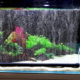 Hygger weighted nano mist bubble wall bar creates even aeration across the tank
