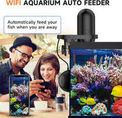 Hygger app-controlled feeder with camera captures feeding moments