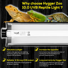 Hygger Zoo T5 fixture with assembly for quick setup and mounting.