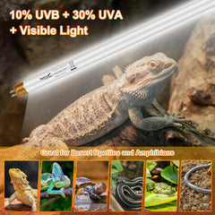 Hygger zoo T5 UVB 22in for chameleon sunning and natural color