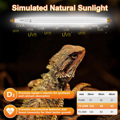 Hygger Zoo 3-pack UVB bulbs 22inch powering a multi-species enclosure