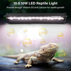 Hygger Zoo UVB Light 12-inch side view showing compact, efficient installation