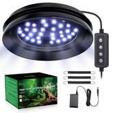 Hygger zoo UVB light mounted on mesh for easy tank setup and adjustable brightness