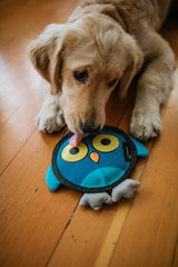Hyper Pet Firehose Flyers Owl grey in action for outdoor fetch sessions