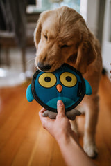 Hyper Pet Firehose Flyers Owl grey close-up of the loud squeaker