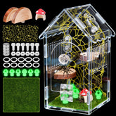 Hysagtek Jumping Spider Enclosure front view shows crystal-clear acrylic for unobstructed observation