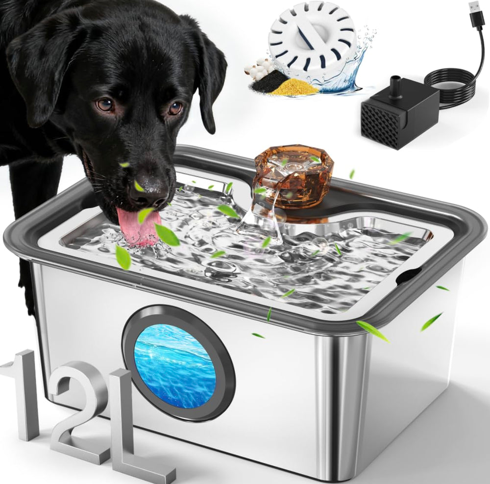 IAD stainless steel dog water fountain showing 3-gallon capacity for steady hydration