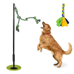 IAIGOGO outdoor tug-war toy for dogs in action during solo play outdoors.