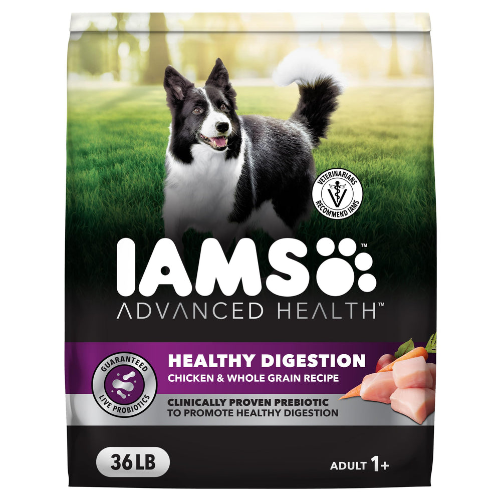 IAMS Advanced Health Dry Dog Food bag front highlights real chicken as the #1 ingredient.