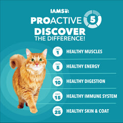 Fiber blend with beet pulp in IAMS Proactive Health