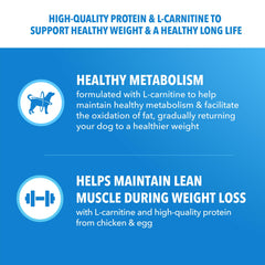Serving bowl with IAMS Proactive Health portion for large dogs