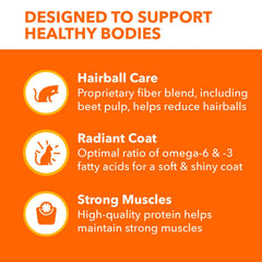 IAMS Proactive Health indoor cat meal served for daily feeding