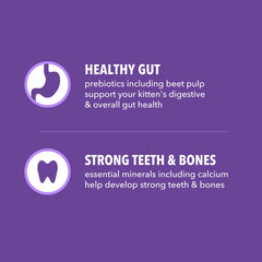 IAMS Proactive Health Kitten omega-3-dha image underscores brain and vision support.