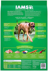 IAMS Proactive Health Large Breed chicken and rice kibble for balanced nutrition.