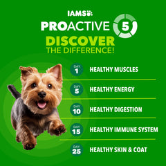 Kibble closeup of IAMS small breed bites designed for tiny mouths.