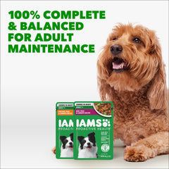 IAMS Proactive Health ensures no artificial preservatives or flavors in this wet dog food.