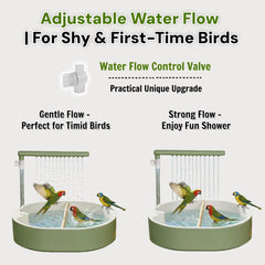 Ianjetty Bird Shower Bath spacious basin fits multiple small birds