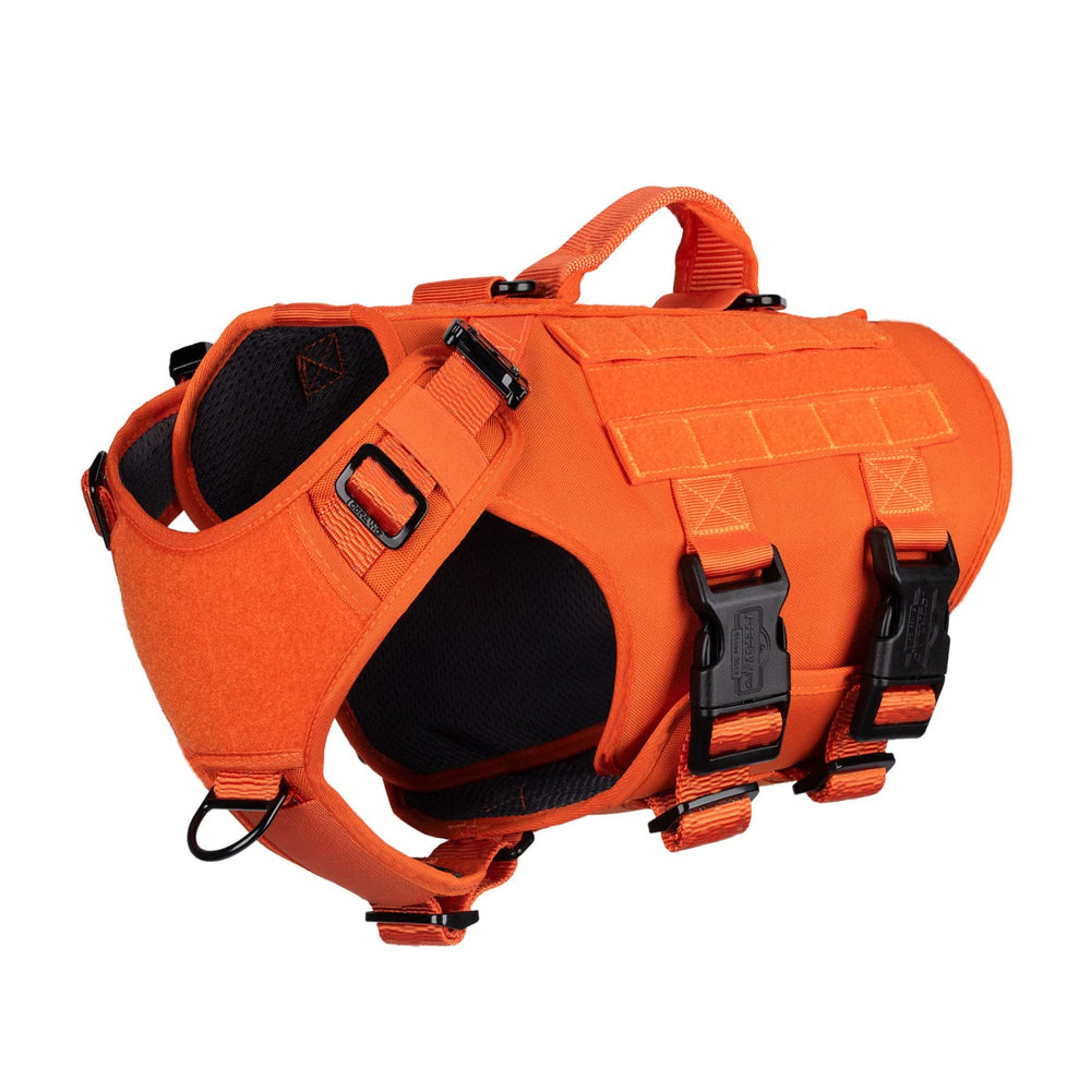 ICEFANG GN3 harness front view for a secure, comfortable daily walk.