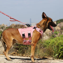 GN3 pink harness side view highlighting MOLLE panels for gear