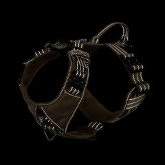 ICEFANG harness showing heavy-duty buckles and 2800N strength for confident restraint