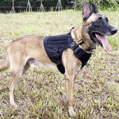 ICEFANG Tactical Dog Harness XL front view with patch panels for patches and IDs.