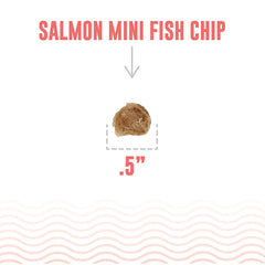 Icelandic+ Mini Fish Chips two-ingredient snack with no fillers and preservatives.