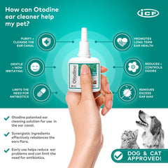 ICF Otodine nozzle dispensing drops for precise application.