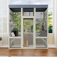 IDEALHOUSE cedar frame catio highlights natural warmth and durability outdoors