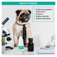 I-DROP VET PLUS applicator demonstrates easy application for canine eye care.