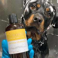 iGroom Banana Dog Shampoo packaging showcases USA-made luxury pet care