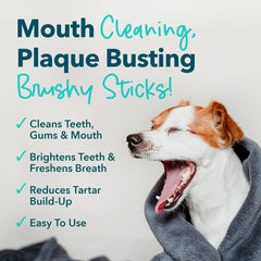iHeartDogs Brushy Sticks close-up shows coarse texture for cleaning teeth.