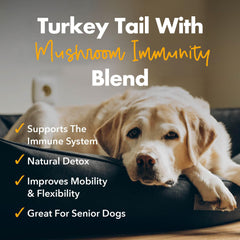 iHeartDogs dog meal with bone broth topping adds flavor and nutrition