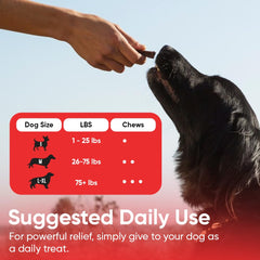 iHeartDogs herbal bladder-kidney boost bottle supports kidney comfort with astragalus.