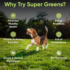 iHeartDogs Super Greens scoop dispensing powder into dog bowl for convenient serving.