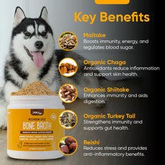 iHeartDogs turkey tail mushroom blend in jar with scoop for immune support