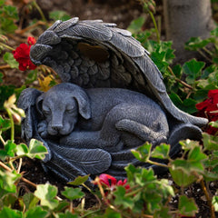 iHeartDogs waterproof design protects ashes during rain and seasons.