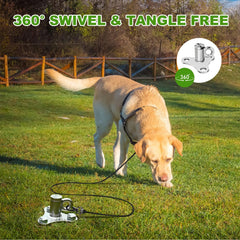 ikleione dog tie out stake with latch construction secures swivel ring under strong pulls