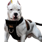 KNK heavy-duty dog harness with front clip to discourage pulling during walks.