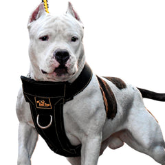 KNK heavy-duty dog harness with front clip to discourage pulling during walks.