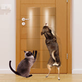 KEBE Door Scratch Protector - Clear Heavy Duty Shield (63 in x 7.9 in)