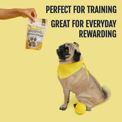 Snif-Snax Smoked Chicken Breast Dog Treats (4oz, 3-Pack) β All-Natural, Grain-Free, Single-Ingredient Chicken Jerky for Dogs