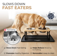 Two 34 oz stainless steel bowls for everyday meals.