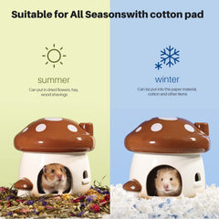 BUCATSTATE all-season hamster cave inside-view highlighting shelter