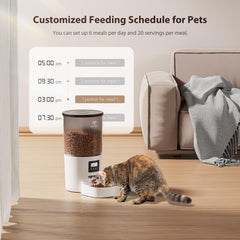 IMIPAW feeder with LCD display highlights programmable meal times for precise portions.