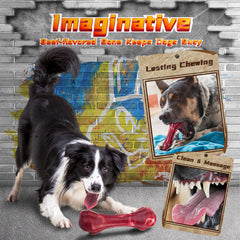 IMMADBUNY flying-disc for toss-and-fetch and active workouts.