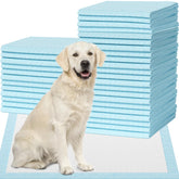 IMMCUTE seven-layer pads showing absorbent core for quick liquid containment