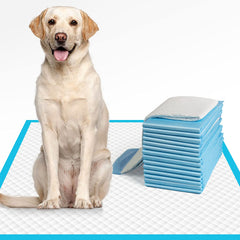 IMMCUTE XL dog pee pad front view showing large 28x34 inch size for home use