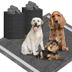 IMMCUTE dog-training-pad-36x36-charcoal-odor-control keeps floors clean and odors in check.