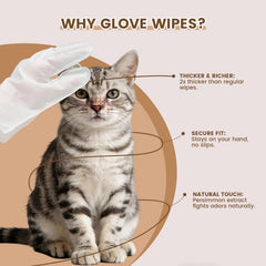 IMMHABI wipe demonstrates odor neutralization for cats and dogs with natural formula.