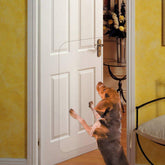In hand clear pet door scratch protector shield on a door for discreet protection